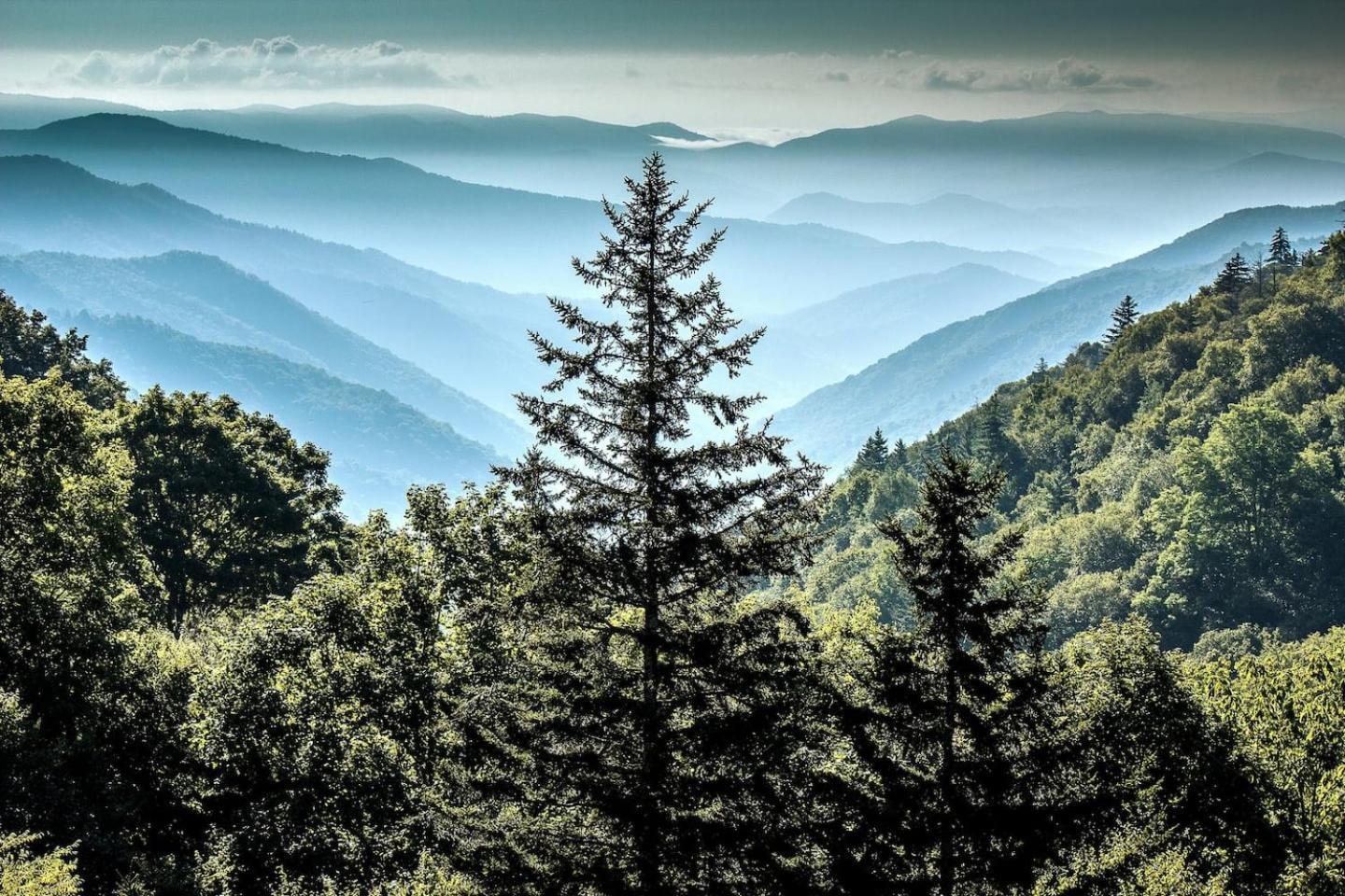 Views I Mins To Dollywood I Hot Tub I Pool Table Villa Sevierville Luaran gambar
